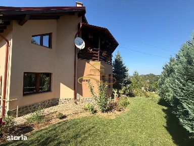 Dealu-Mare, Magura, Bacau