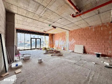 Kogalniceanu, Timisoara, Timis