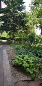 Bucuresti - Ilfov, Ilfov, Baneasa