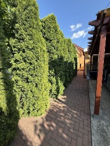 Casa individuala P+1 Caracal, Olt