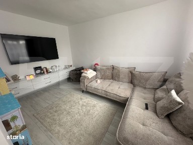 Subcentral, Satu Mare