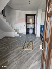 Strada Fratii Buzesti, Bals, Olt