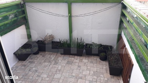 Tudor Vladimirescu, Targu Mures, Mures