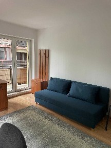 Garsonieră open space, Cartierul Marasti, Zona Farmec
