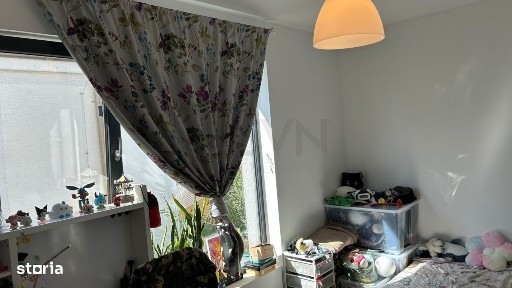 Strada Alexandru cel Bun, Tunari, Ilfov