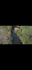 Proprietate unică - 1,5 ha intravilan cu luciu de apă cu pește, iaz, livadă și casă