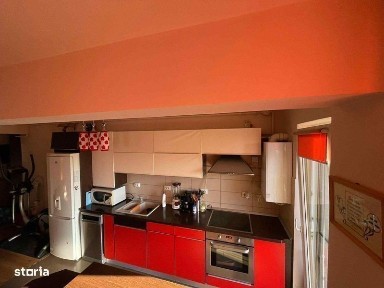 Subcentral, Satu Mare