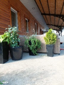 Groapa Vladichii, Moara, Suceava