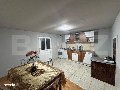 Casa cu 4 camere, 117 mp, teren generos de 5594 mp, in Criscior