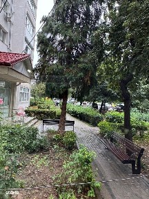 Strada Banca Nationala, G. Bacovia, Bacau