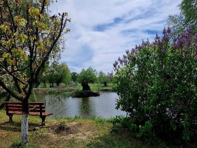 Casa de vacanta pt inchiriat