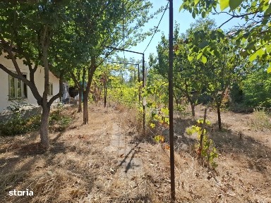 Casa batraneasca, Sat POTCOAVA, CALARASI