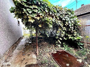 Strada Sovata, Chisineu-Cris, Arad
