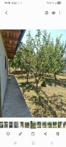 Casa de vanzare -Odaia Manolache Galati