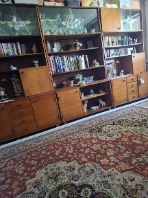 Vând apartament turceni