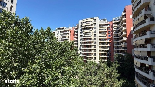 Stefen cel Mare l Spatiu comercial l 1450 mp