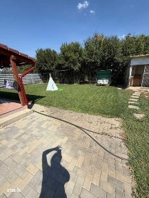 Sanmihaiu Roman, Timis