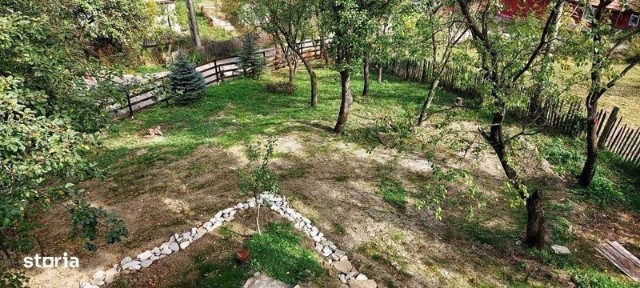 Vand casa de vacanta in Valea Doftanei, teren, vila, Paltinu, natura