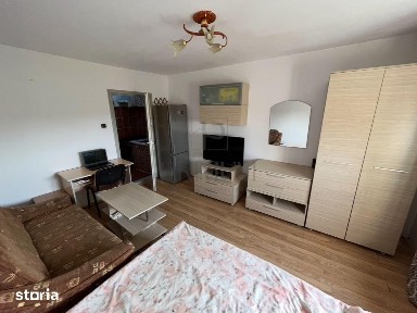 Apartament 1 camera-Centrala-Blascovici