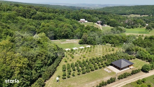 Glamping, piscicultura si turism spiritual - totul intr-un singur loc