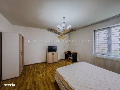 Andrei Muresanu, Cluj-Napoca, Cluj