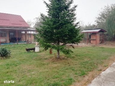 Vanzare casa P+M Letca Veche, 5 camere, teren 1.587 mp, comision 0%