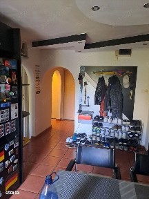 Bucovina, Timisoara, Timis