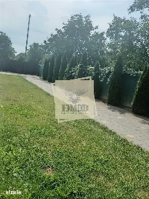 Tiglari, Sibiu