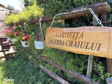 Ciocanu, Dambovicioara, Arges