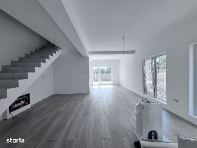 Mosnita Veche, Mosnita Noua, Timis