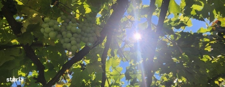 Casa situata in Rasnov in strada Vanatorilor nr. 66, teren 500 mp!