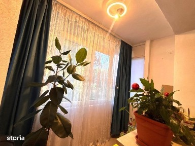 George Enescu, Craiova, Dolj