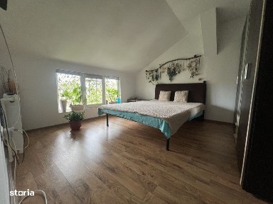 Bucovina, Timisoara, Timis