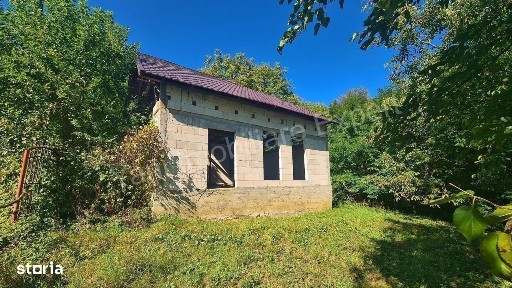 Casă + 4391 mp teren de vânzare în comuna Valea Danului, județ Argeș.