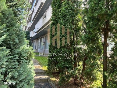 Vasile Alecsandri, Baia Mare, Maramures