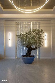 Mamaia Centru, Constanta