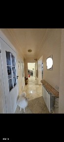 Bulevardul Pipera, Voluntari, Ilfov