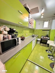 Ady Endre, Cauas, Satu Mare