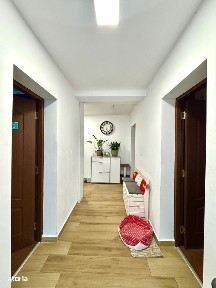 Sanmihaiu Roman, Timis