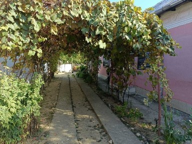 Casa cu curte. Canalizare si baie