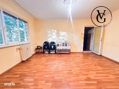 Badea Cartan, Constanta