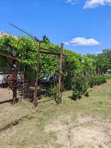 Casă de vânzare in com. Comana sat Vlad Tepes