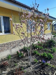 Casa de vanzare, fara schimb!