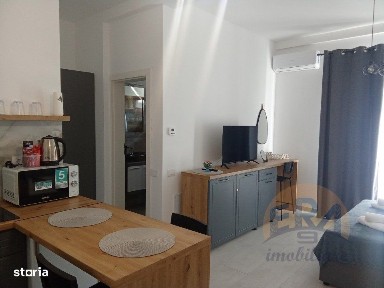 Apartament 1 camera, Sanmartin, Str. George Cosbuc
