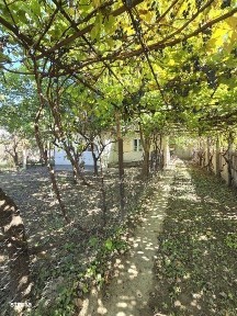 Barati, Margineni, Bacau