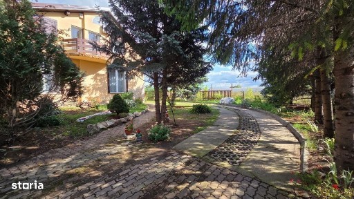Satu Mare