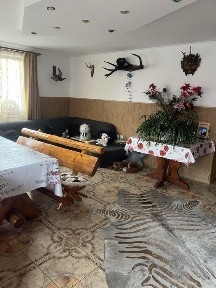 Pensiunea Leo din Rașnov libera de Revelion