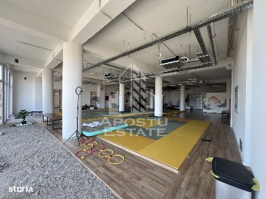 Iosefin, Timisoara, Timis