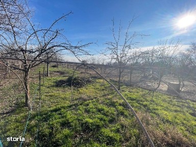 Casa impunatoare D+P+1 cu 709 mp teren si toate utilitatile in Balta V