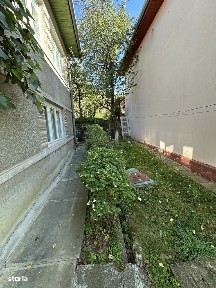 Strada Paltinis, Tarnaveni, Mures